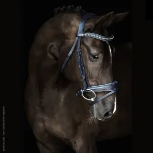 Malvern Saddlery AFTER MIDNITE Dressage Bridle